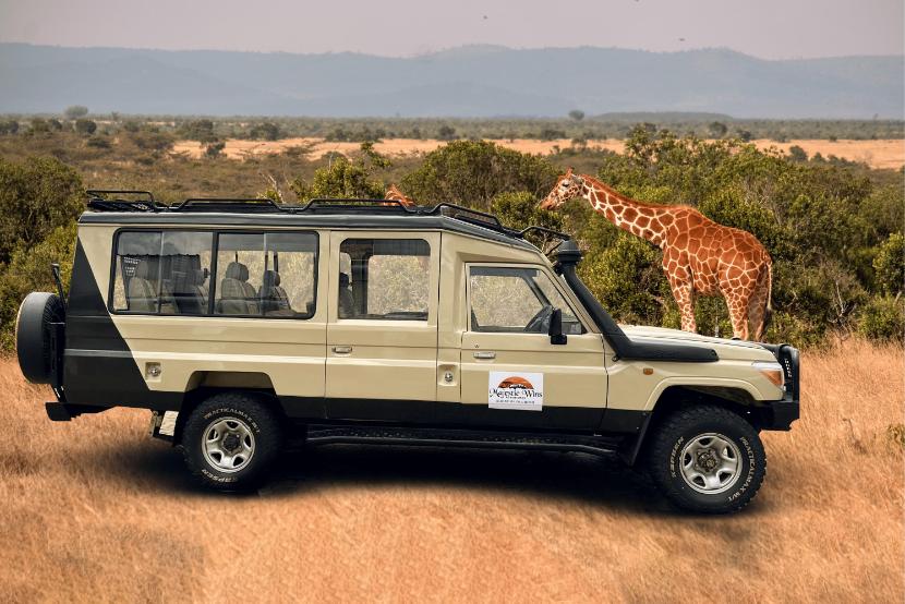 Tanzania's Most Famous Safari Destinations