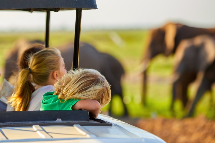 Why Choose a Luxury Tanzania Safari Tour?