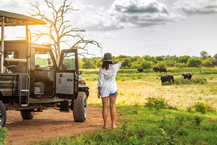 Tanzania Safari Tour