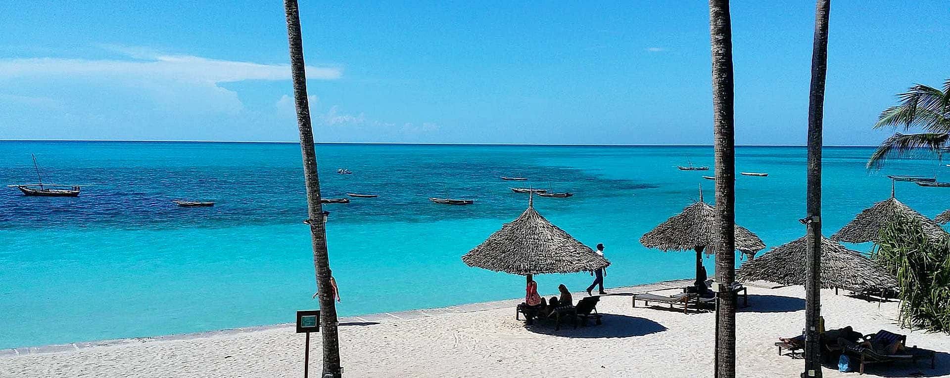 Ruinsori Mountains & Zanzibar